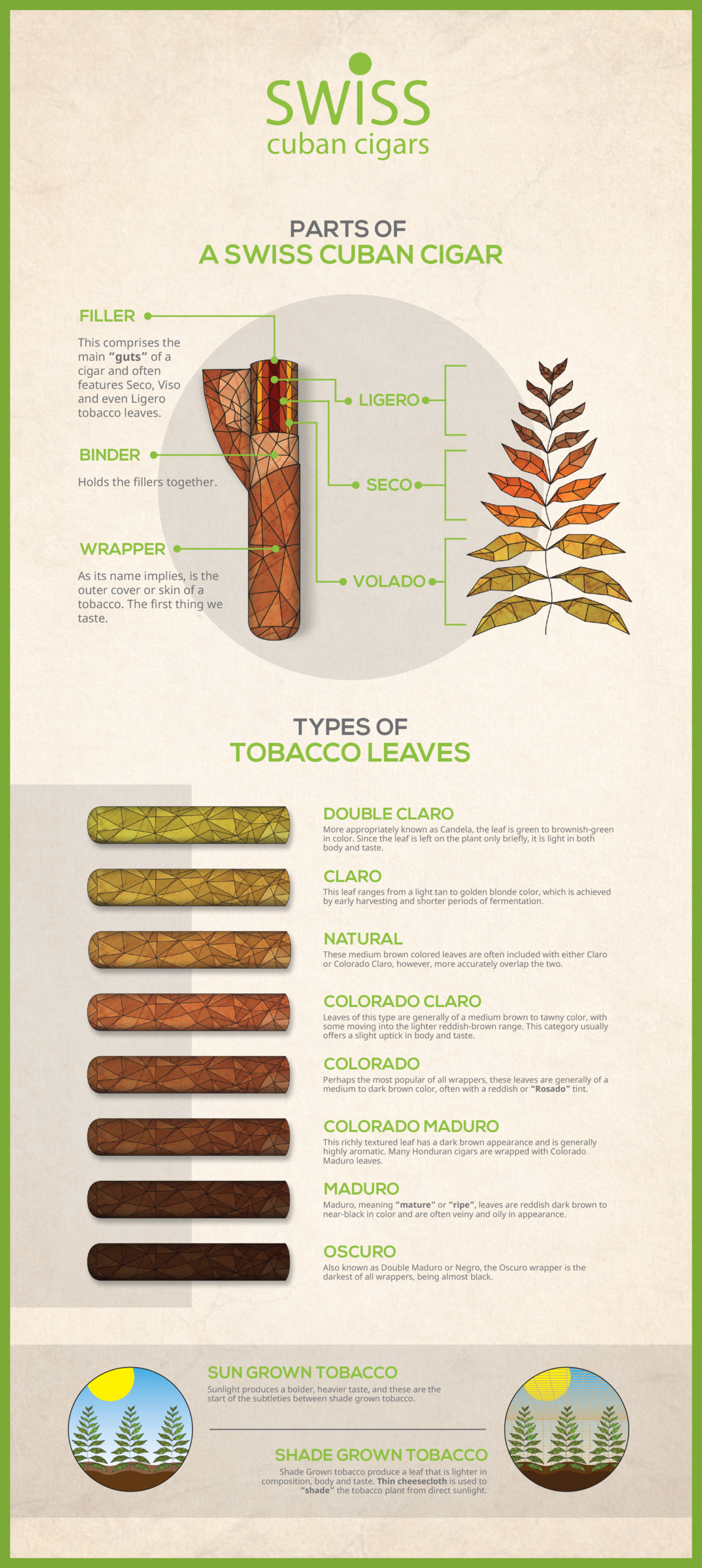 swiss cuban cigar infographic
